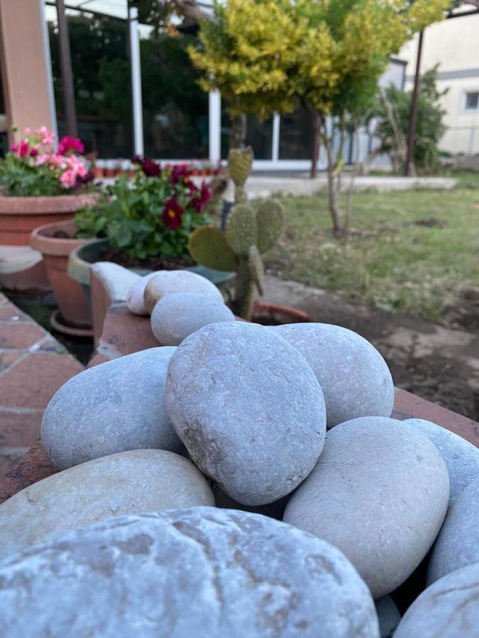 Ferienwohnung Curani House Ulcinj Exterior foto